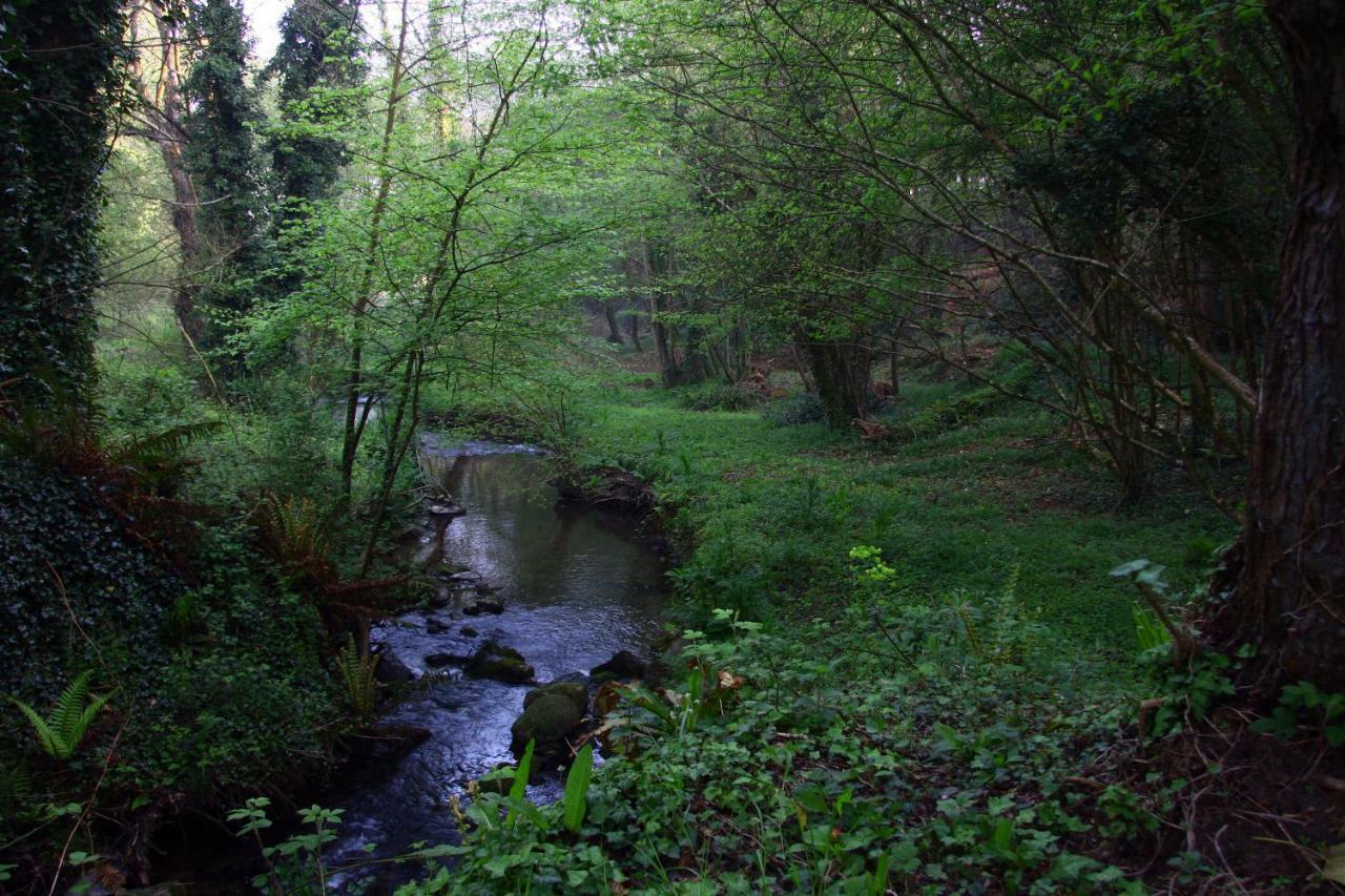 La Ferme Des Daims Villa Saint-Quay-Perros Kültér fotó