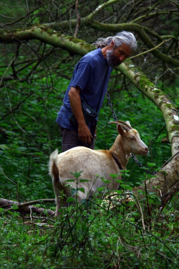 La Ferme Des Daims Villa Saint-Quay-Perros Kültér fotó
